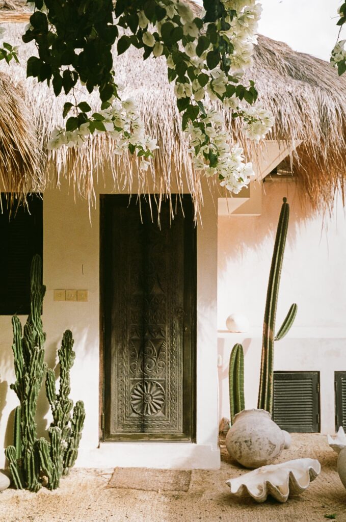 cactus exterior travel aesthetic