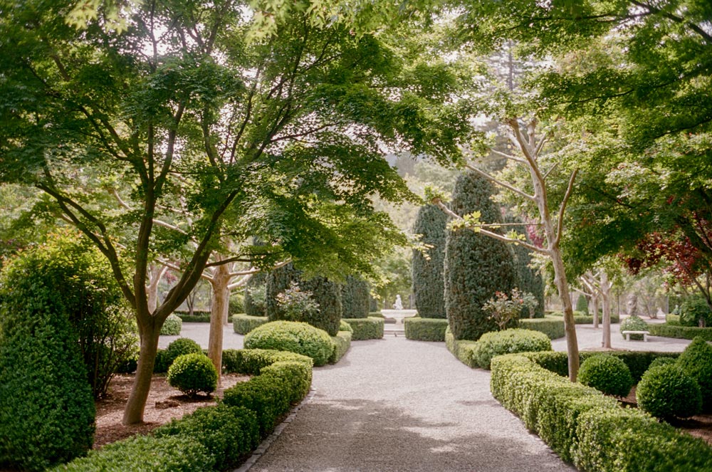 beaulieu wedding venue